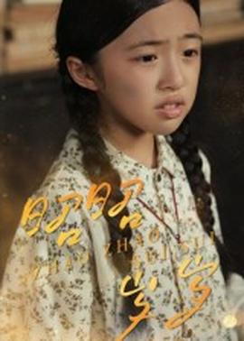 昭昭岁岁(全集)