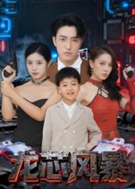 龙芯风暴(全集)