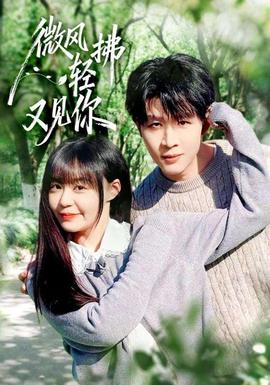 微风轻拂又见你(全集)