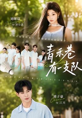 青禾巷有一支队(全集)